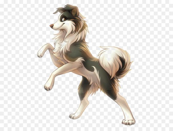 Бордер колли арт