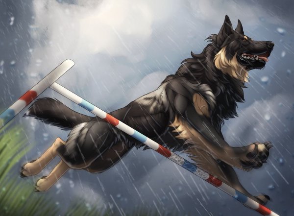 Пес крутой арт