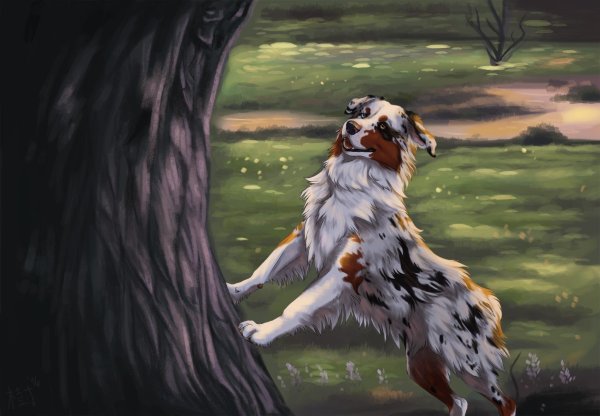 Хроники стаи догс