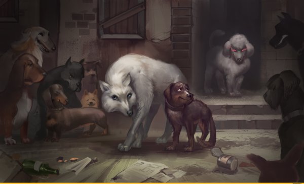 Ангва фон Убервальд