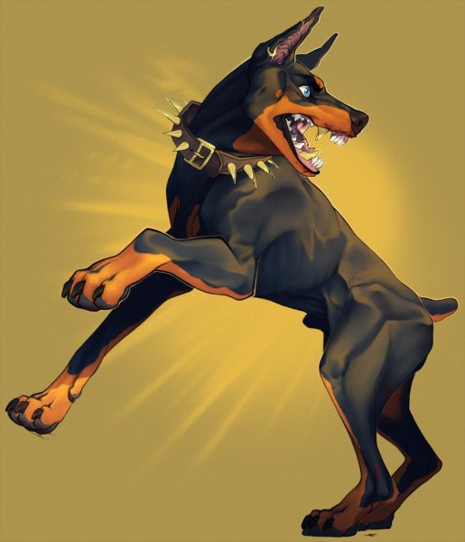 Доберман-пинчер фурри