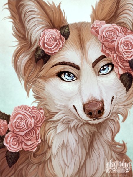 Папильон и хаски