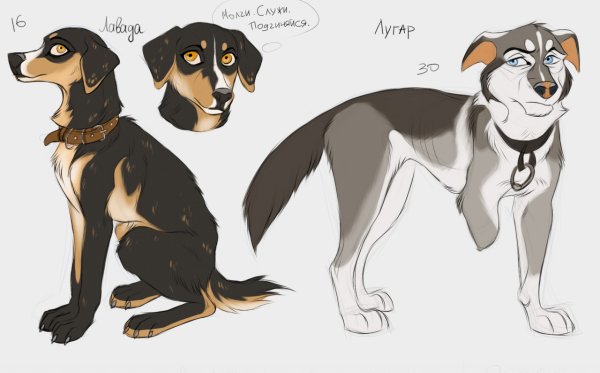 Окрасы собак для персонажей