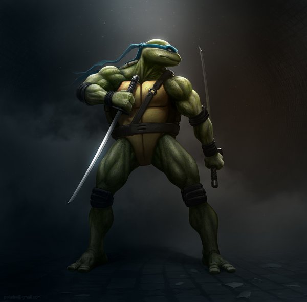 Leonardo TMNT
