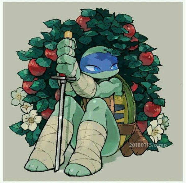 TMNT 2012 Leonardo Art