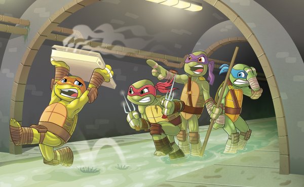 Эволюция черепашек ниндзя Микки