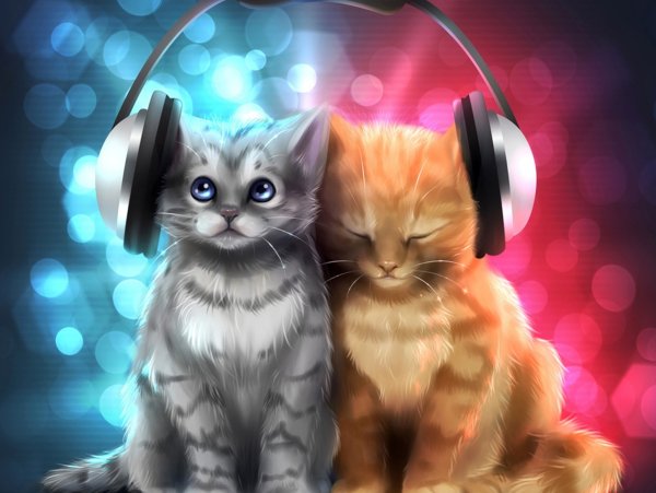 Кот в наушниках