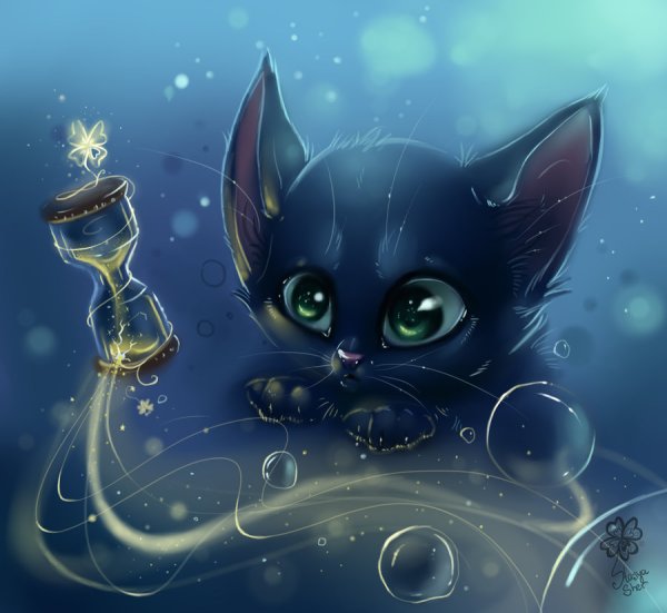 Фэнтези кошки