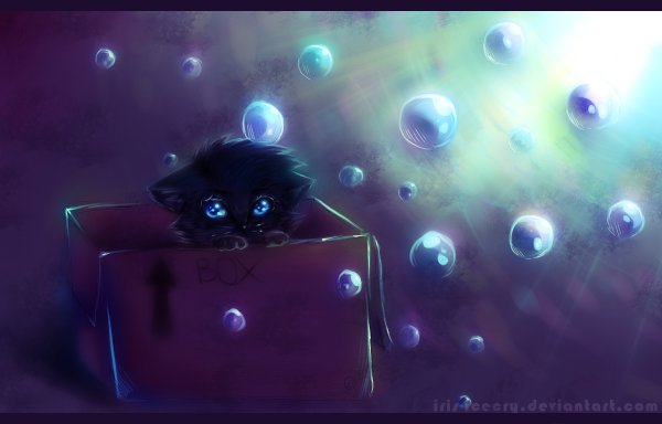 Котики няшки