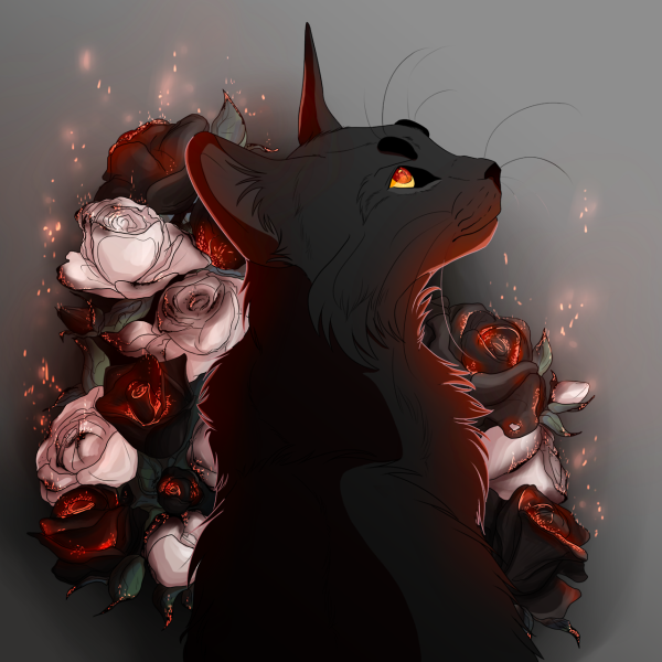 Коты Воители красный кот