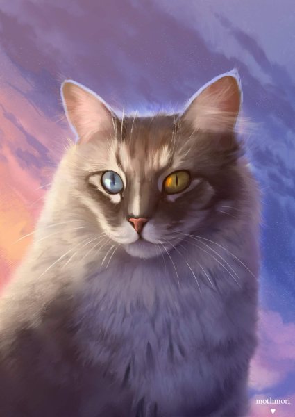 Коты Воители mothmori