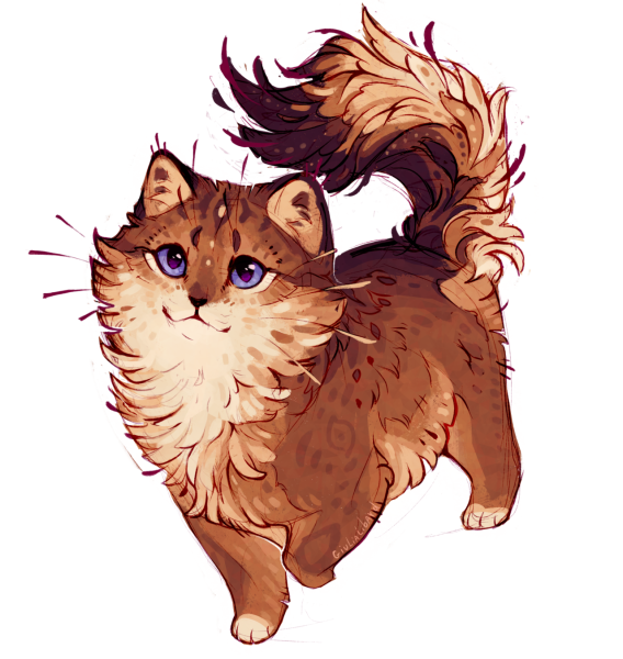 Коты Воители Острозвезд