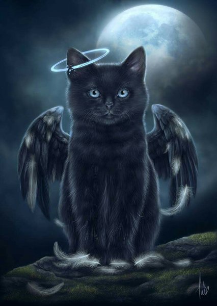 Магические кошки