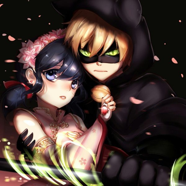 Леди баш и супер кот аниме