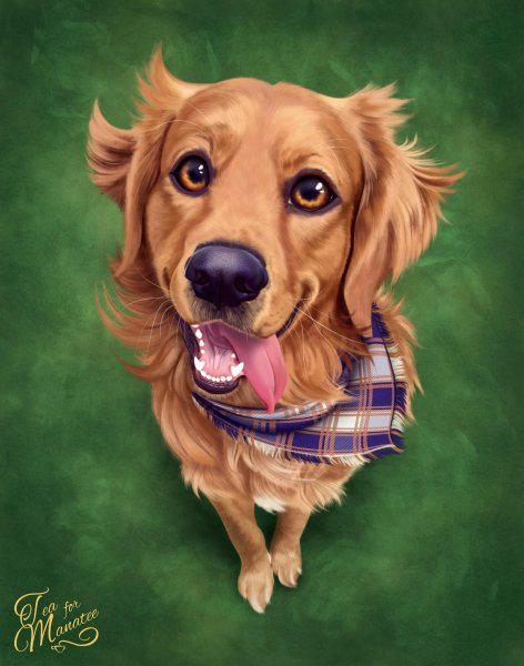 Собака рисунок