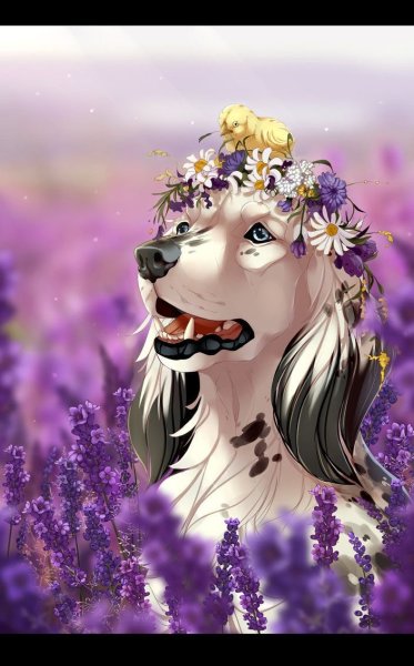 Собака в венке