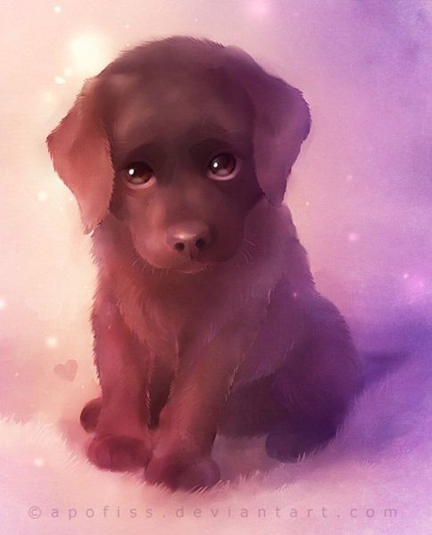 Собаки фото милые рисунки