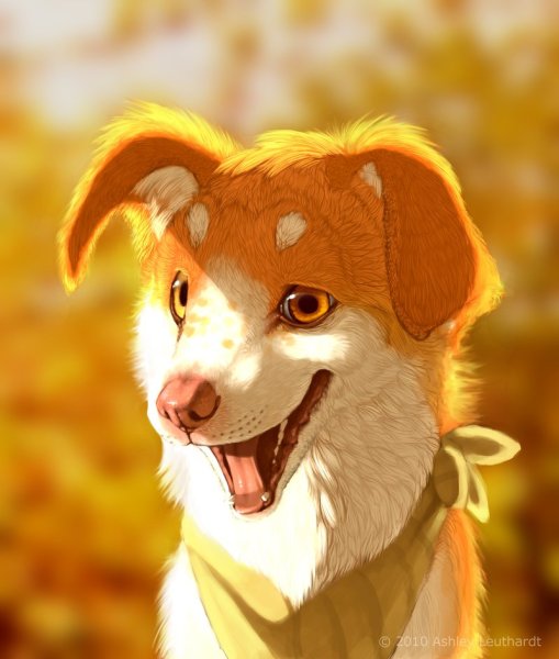 Щенок рыжий арт