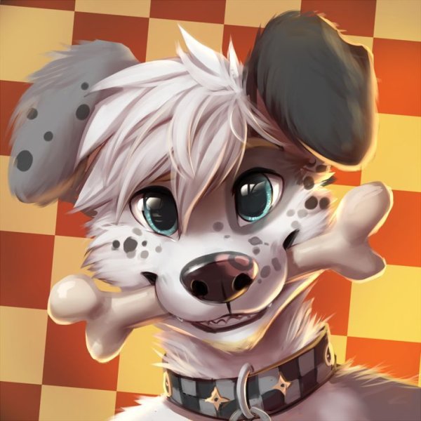 Фурри собака