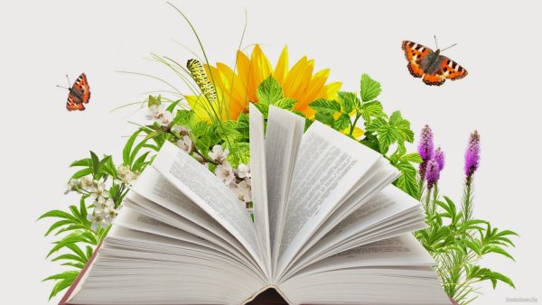 Неделя русского языка и литературы