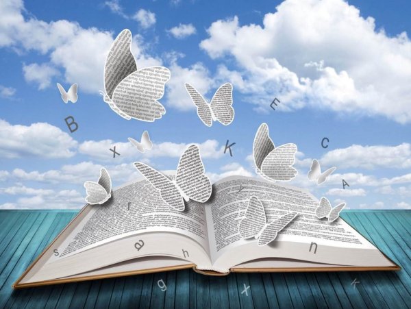 Раскрытая книга