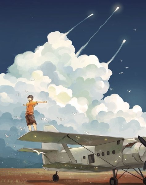 Самолеты арты