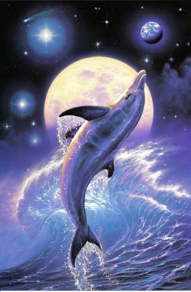 Дельфины арт