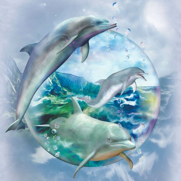 Адриан Честерман дельфины