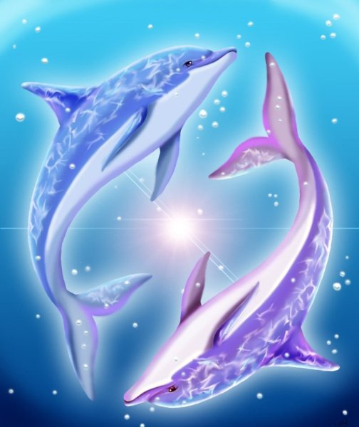 Дельфины арт красивые