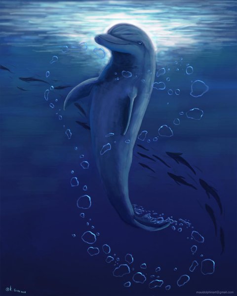 Грустный Дельфин