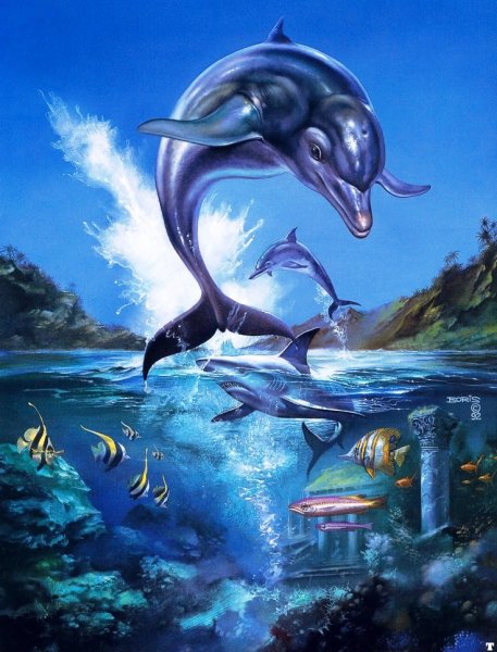 Игра Sega: ecco the Dolphin