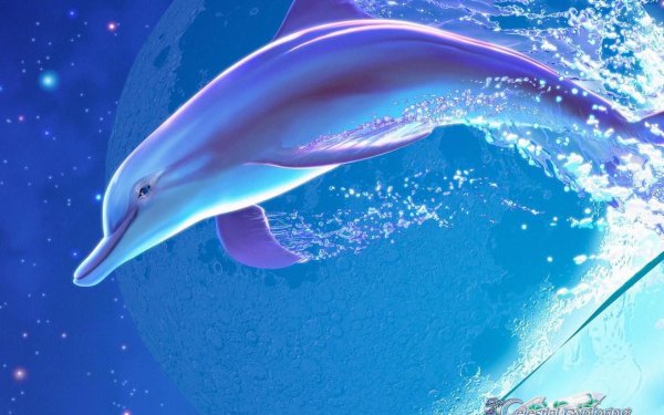 Красный Дельфин
