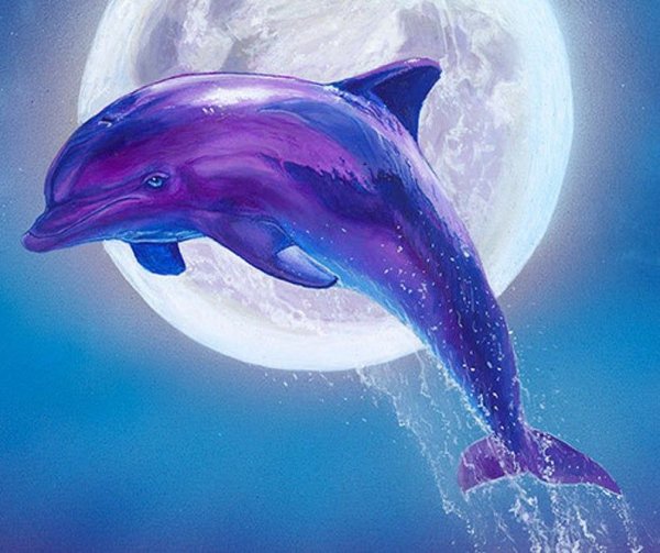 Дельфин арт