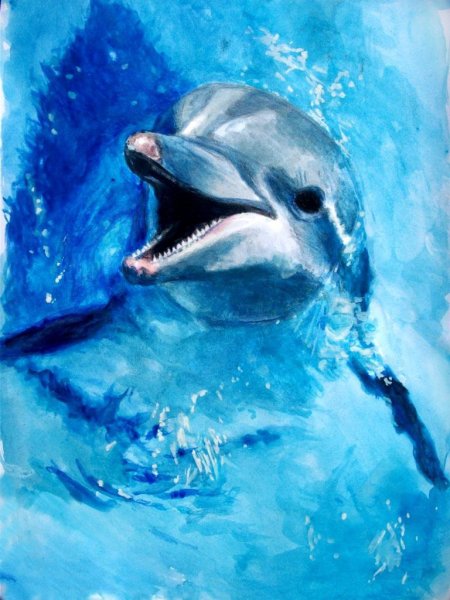 Дельфин акварелью