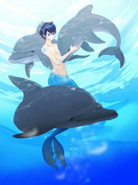 Харука Нанасэ Дельфин