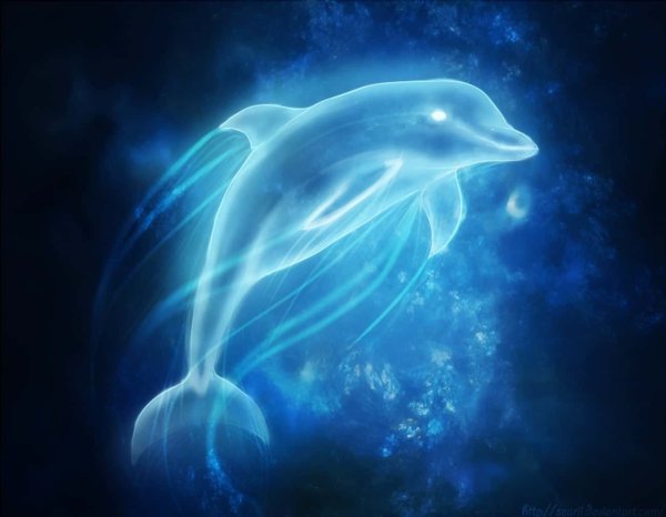 Гарри Поттер Дельфин (Дельфин)