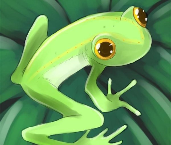 Лягушка из аниме