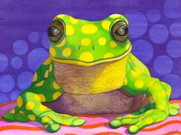 Милые лягушки