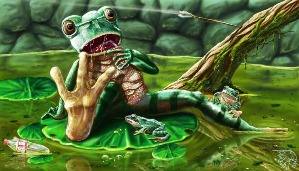 Goblincore Art лягушки