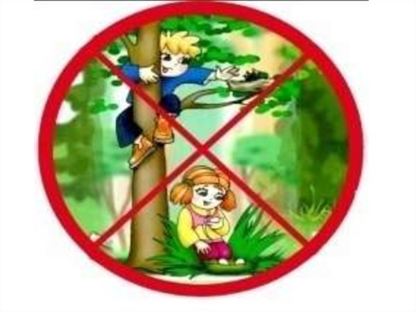 Запрещающие знаки в природе