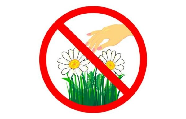 Знак нельзя рвать цветы