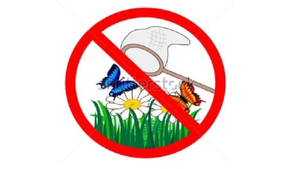 Запрещающие знаки в природе