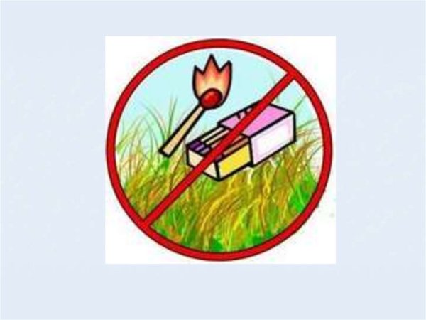 Знаки природы для детей