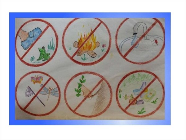 Рисунок на тему будь природе другом