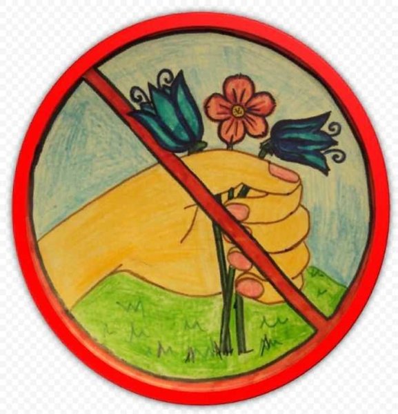 Знаки природы для детей