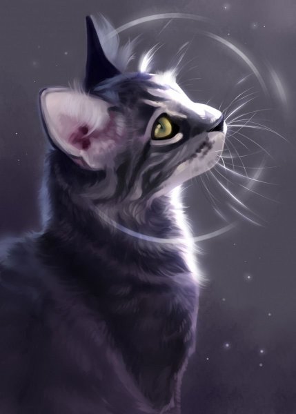 Коты Воители серый кот арт