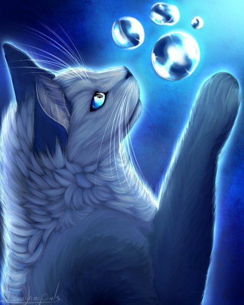 Коты Воители синяя звезда