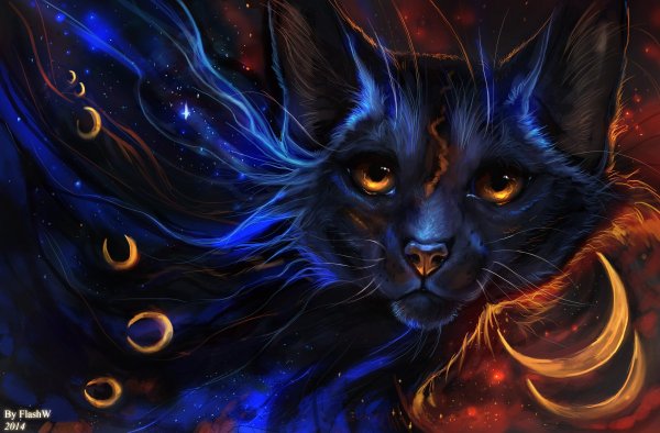 Волшебные кошки