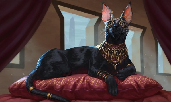 Египетская кошка черная