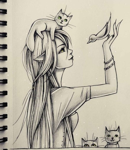 Красивые рисунки для скетч бока